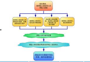 保险理赔爆料流程视频教程,轻松掌握理赔流程  第2张 保险理赔爆料流程视频教程,轻松掌握理赔流程  第2张