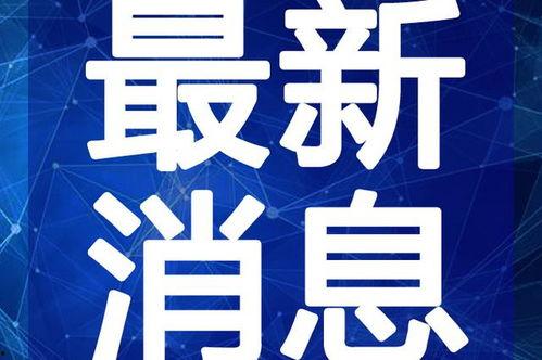 淮安婚庆爆料最新消息视频,最新视频揭秘婚礼现场幕后故事  第2张 淮安婚庆爆料最新消息视频,最新视频揭秘婚礼现场幕后故事  第2张